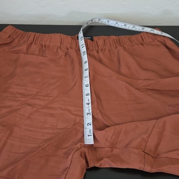 Theory Red Clay Cargo Joggers - Picture 12 of 13